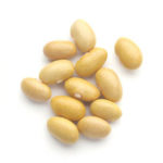 mayocoba beans
